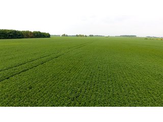 Property photo 20 - IMPORTANT OHIO LAND AUCTION - 325.5+/- ACRES OFFERED IN 8 TRACTS IN PICKAWAY COUNTY, OHIO